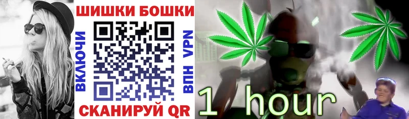 Бошки Шишки THC 21%  Шенкурск 